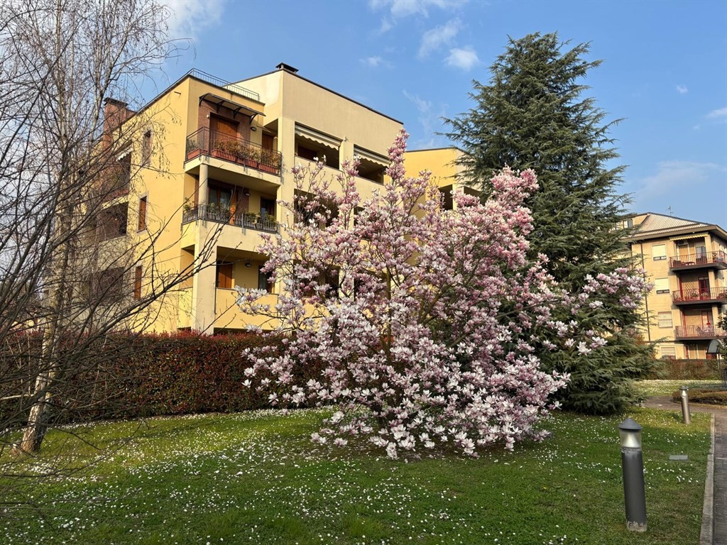 Biassono - Attico di pregio al 4° piano con terrazzo panoramico di 70 m²
